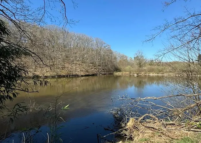 Апартаменты Confortable A - 18 M² + Balcon Нери-ле-Бен